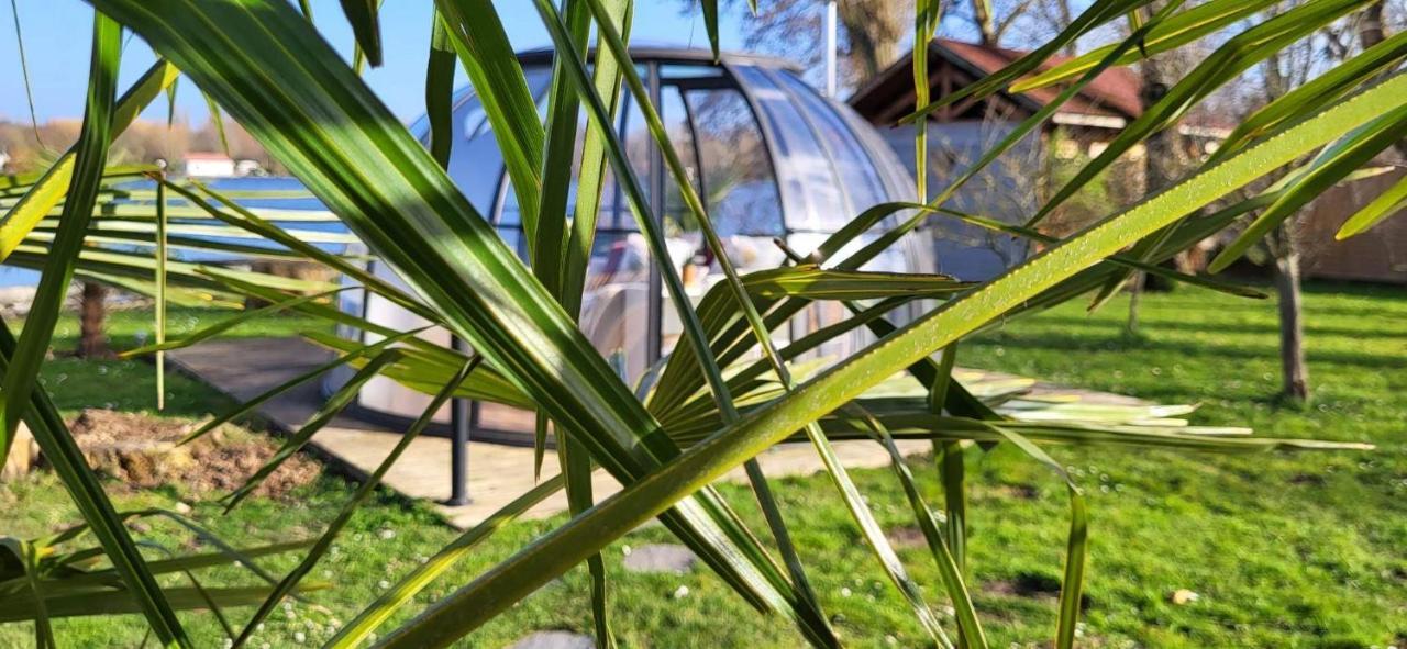 Le Dome Du Lac Ardres Экстерьер фото